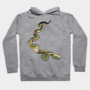 Sushi snake Hoodie